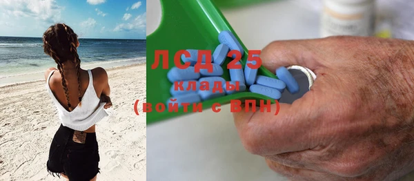 шишки Арсеньев