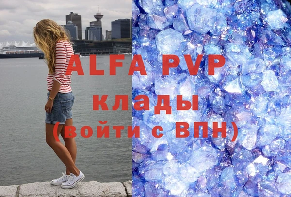 шишки Арсеньев