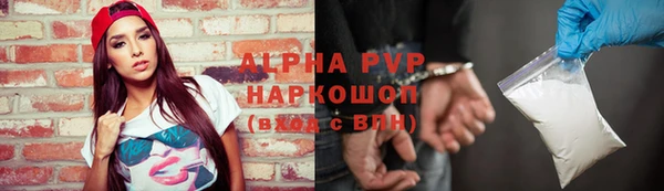шишки Арсеньев