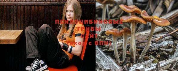 первитин Ладушкин