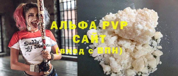 шишки Арсеньев