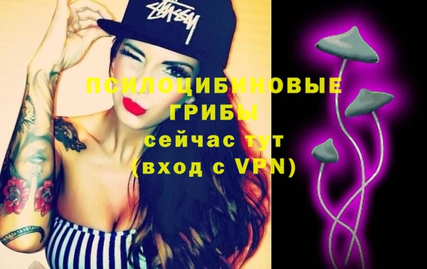 шишки Арсеньев