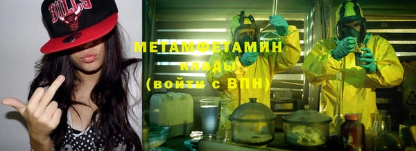 шишки Арсеньев